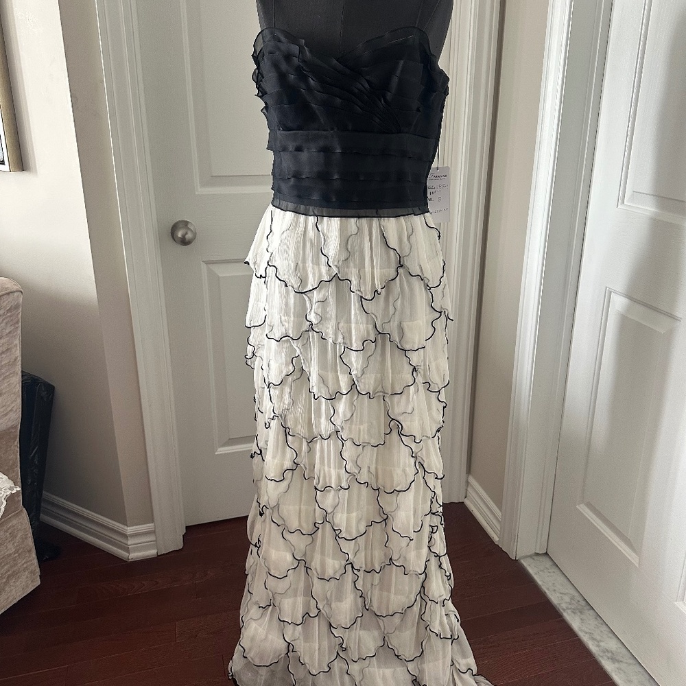 Frascara Silk long gown